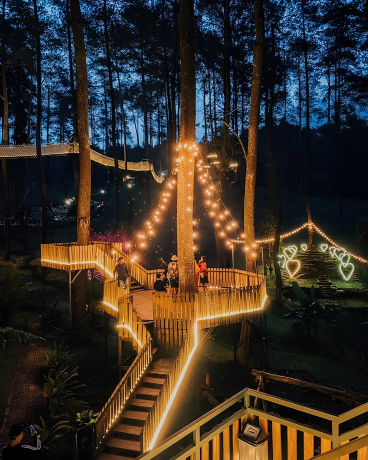 Night Orchid Forest Cikole