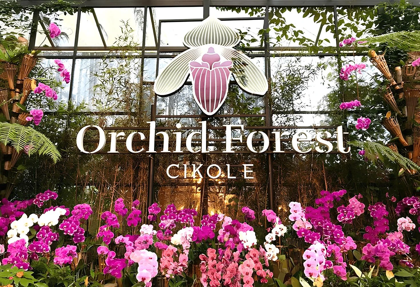 Orchid Forest Cikole